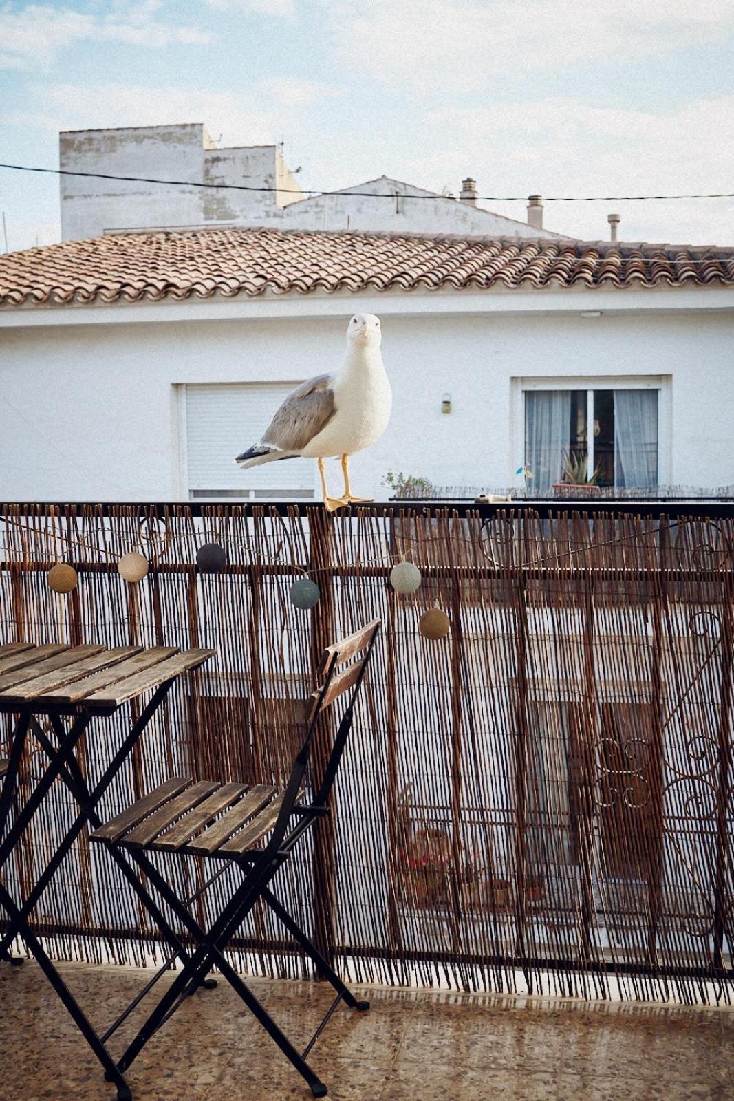 Maison Dya Αλτέα Εξωτερικό φωτογραφία